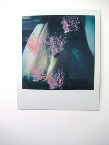 Araki polaroid originale - araki:,