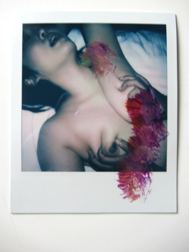 Araki polaroid originale - araki:,